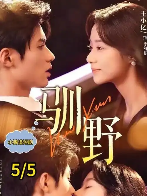 城南旧巷 年代家庭剧集封面